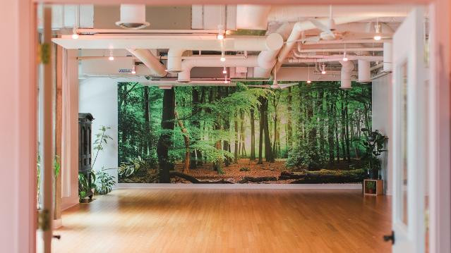 Image 1 from Arise Yoga Movement partner gallery