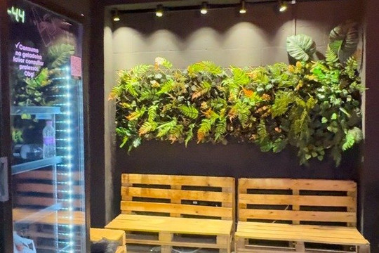 Imagem 1 da galeria do parceiro Nemis Vieira Biolada Fitness Ltda