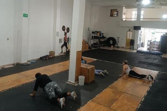 Imagen 2 de la galería del partner Cratus Training Club