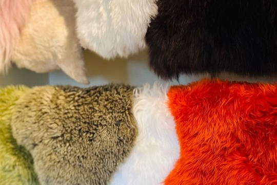 Image 3 from Yoga Farm Ithaca partner gallery