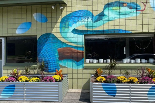 Image 1 from Yoga Farm Ithaca partner gallery