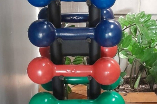 Imagem 1 da galeria do parceiro Studio Fitness Geni Couto