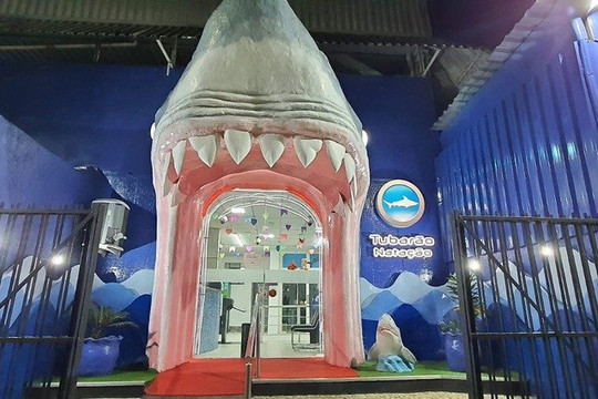 Imagem 2 da galeria do parceiro Escola de Natação Tubarão