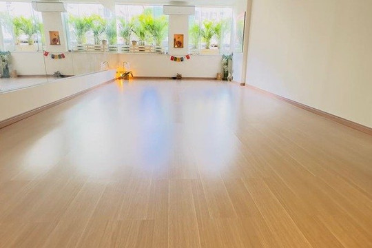 Imagem 3 da galeria do parceiro Shama Yoga Studio