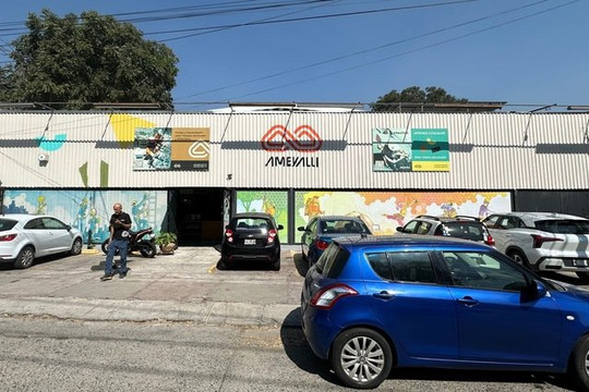 Imagen 2 de la galería del partner Ameyalli | Gimnasio de Escalada