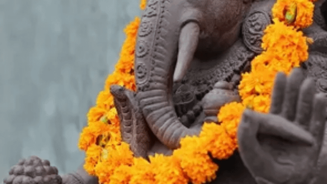 Bild 1 von kumar yoga berlin Partnergalerie