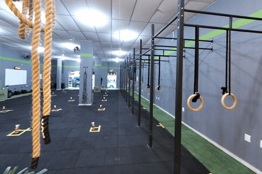 Imagem 1 da galeria do parceiro Lynx CT