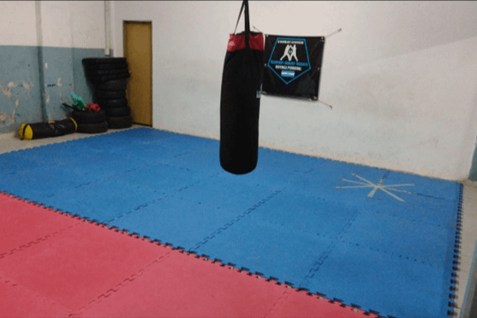 Imagen 3 de la galería del partner Combat System LS