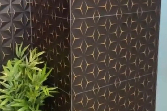 Imagem 3 da galeria do parceiro Galpão Fit