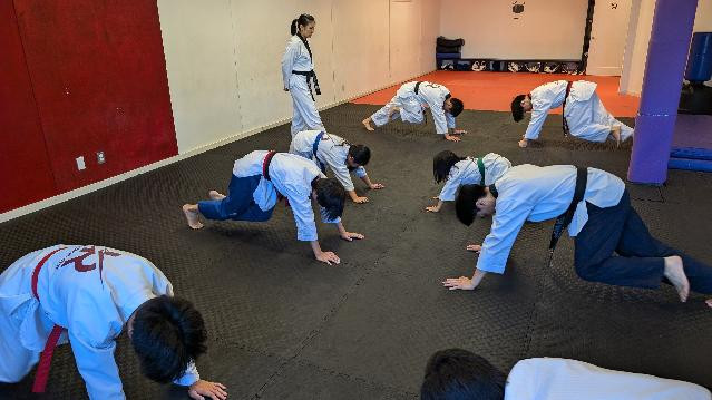 Image 2 de la galerie du partenaire Vector Training Centre