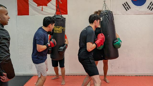 Image 3 de la galerie du partenaire Vector Training Centre