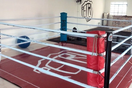 Imagem 1 da galeria do parceiro Studio Fight Pedro Petri