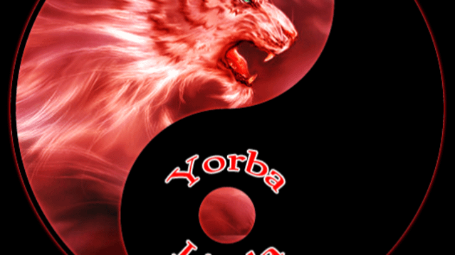 Image 3 from United Studios of Self Defense - Yorba Linda Martial Arts partner gallery