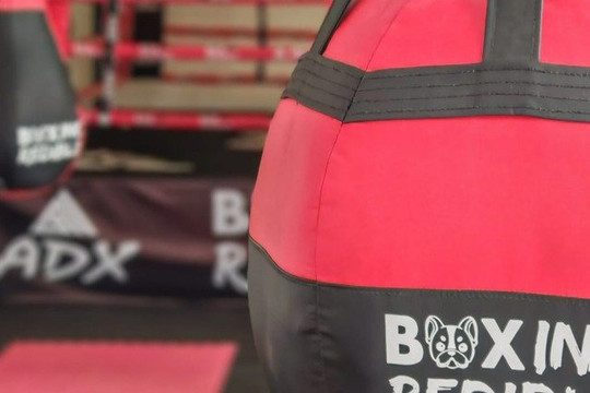 Imagen 3 de la galería del partner Box IncRedible