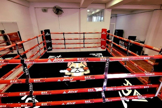 Imagen 1 de la galería del partner Box IncRedible