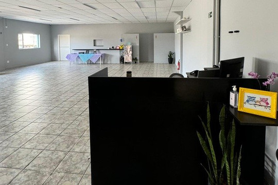 Imagem 2 da galeria do parceiro Espaço Vem Dançar