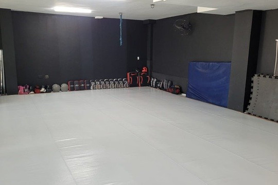 Imagem 1 da galeria do parceiro Águia BH