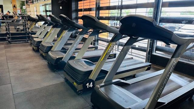 Imagem 1 da galeria do parceiro Academia Wayup