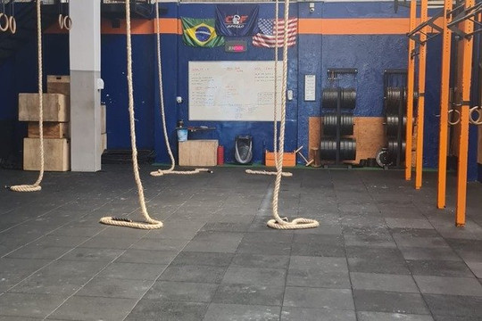 Imagem 1 da galeria do parceiro CF Apollo