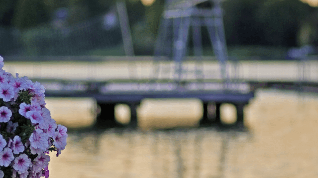 Bild 2 von Naturbad Falkenwiese Partnergalerie