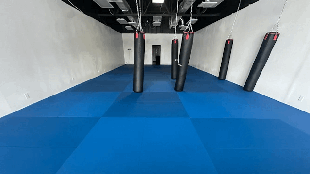 Image 1 from Ark MMA & Fitness partner gallery