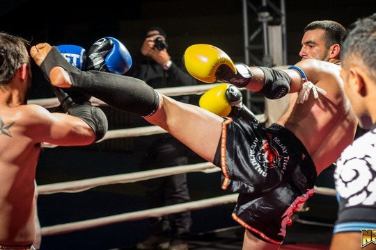 Imagem 3 da galeria do parceiro Artes Marciais | Campo Grande MS | Absoluto