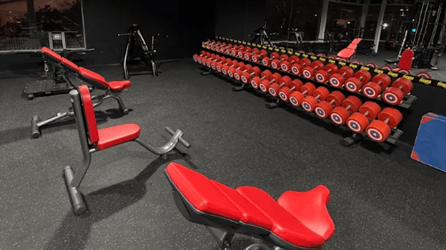 Imagen 3 de la galería del partner Fitnex Quilpué