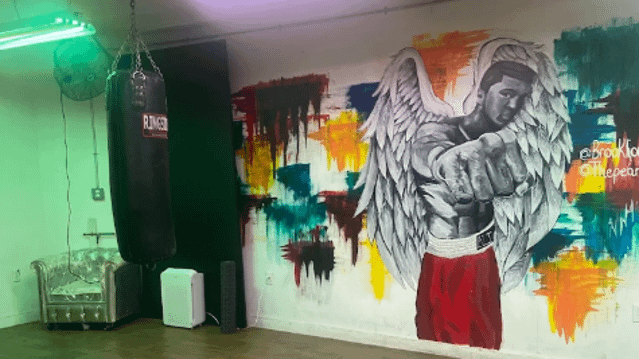 Image 2 from Hudson Boxing Gym partner gallery