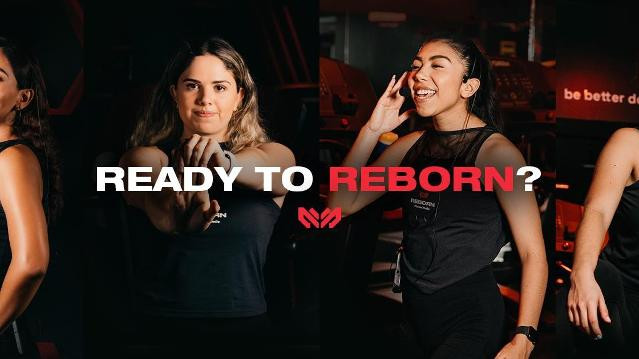 Imagen 1 de la galería del partner Reborn Studio