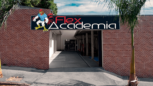 Imagem 2 da galeria do parceiro Flex Academia