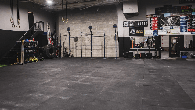 Image 2 from Alpha Athletika partner gallery