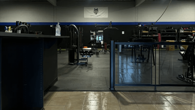 Image 3 from Alpha Athletika partner gallery