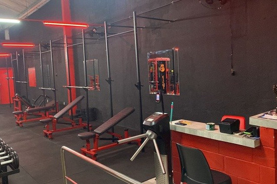 Imagem 3 da galeria do parceiro K9 ACADEMIA CT