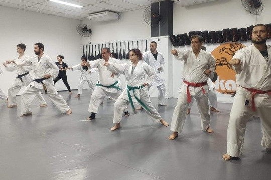 Imagem 1 da galeria do parceiro IP Kan Centro de Treinamento