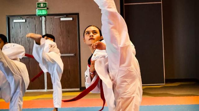 Imagen 3 de la galería del partner TAEKWONDO IDAR TEAM MENA