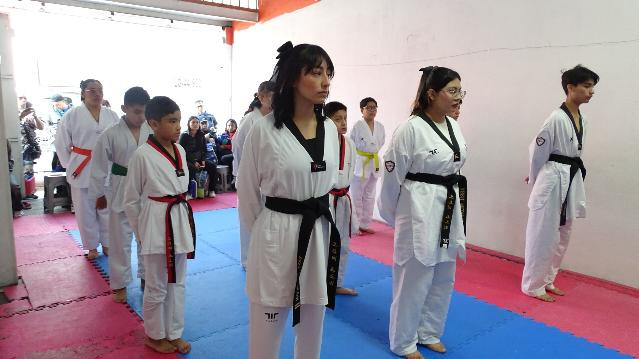 Imagen 1 de la galería del partner TAEKWONDO IDAR TEAM MENA