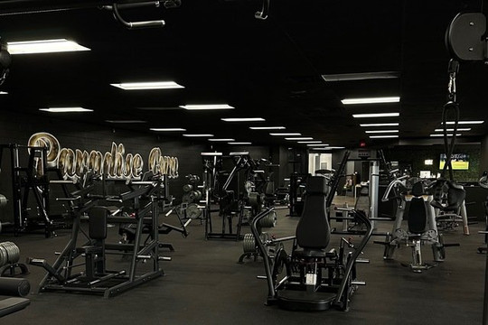 Image 1 from Paradise Gym partner gallery