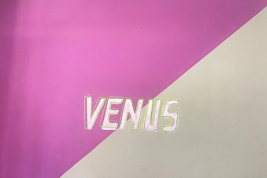 Imagem 3 da galeria do parceiro Studio Venus - cross training