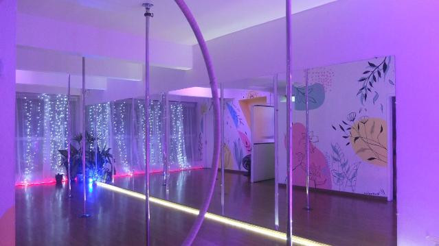Imagem 3 da galeria do parceiro Lírios Pole Art Studio