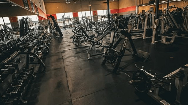 Image 3 from Port Credit Athletics partner gallery