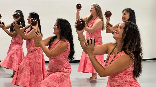 Image 2 from Aloha Dancers partner gallery
