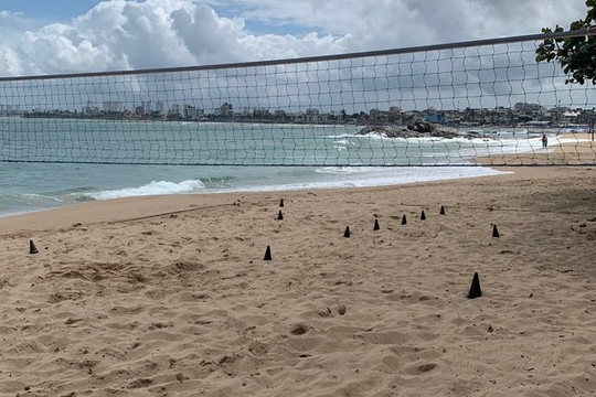 Imagem 1 da galeria do parceiro Team TH Futevôlei