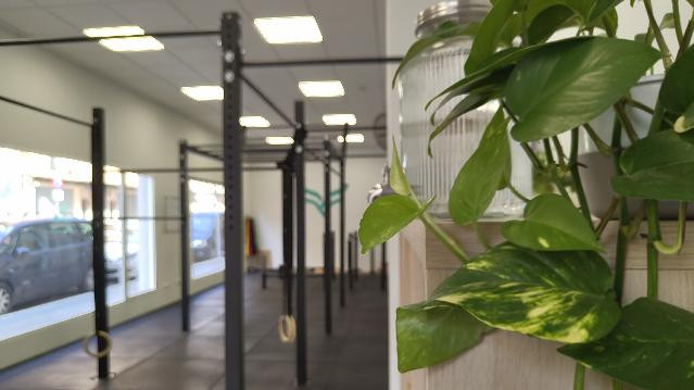 Imagen 1 de la galería del partner Calistenia Valencia