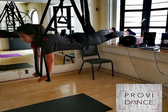 Imagen 1 de la galería del partner Providance Studio