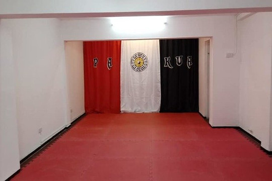 Imagen 1 de la galería del partner Liga Internacional de Pakua Godoy Cruz