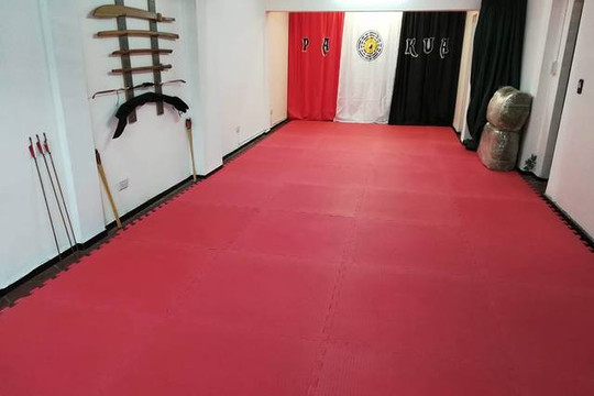 Imagen 2 de la galería del partner Liga Internacional de Pakua Godoy Cruz