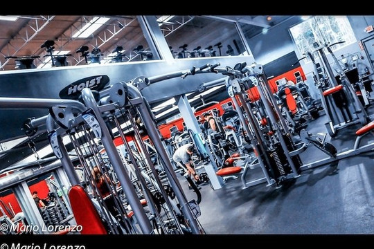 Image 2 from Platinum Health & Fitness partner gallery