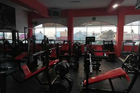 Imagen 1 de la galería del partner Gym 300 Ceboruco