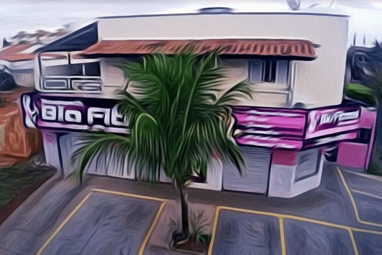 Imagem 3 da galeria do parceiro Academia Bia Fitness