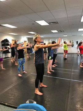 Image 2 from Woo Kickboxing Academy of Londonderry partner gallery